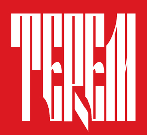 terem logo.jpg